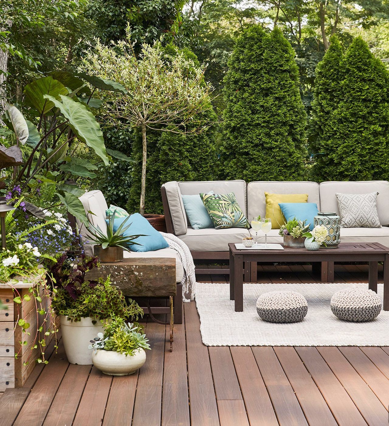 Deck and Fence Painting